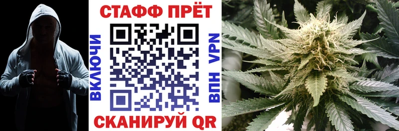 Псилоцибиновые грибы Суздаль