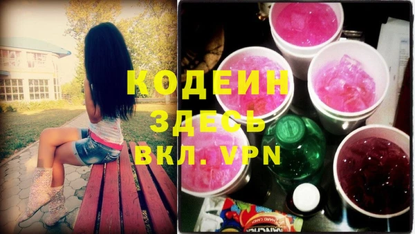 дживик Бронницы
