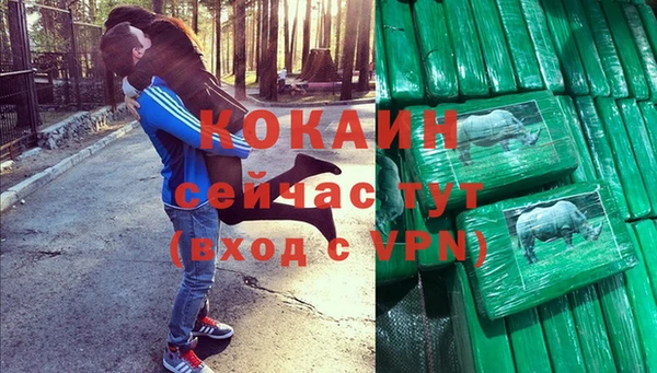 дживик Бронницы