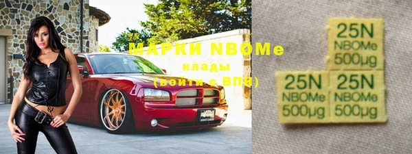 дживик Бронницы