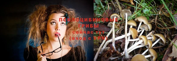 дживик Бронницы