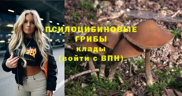 дживик Бронницы